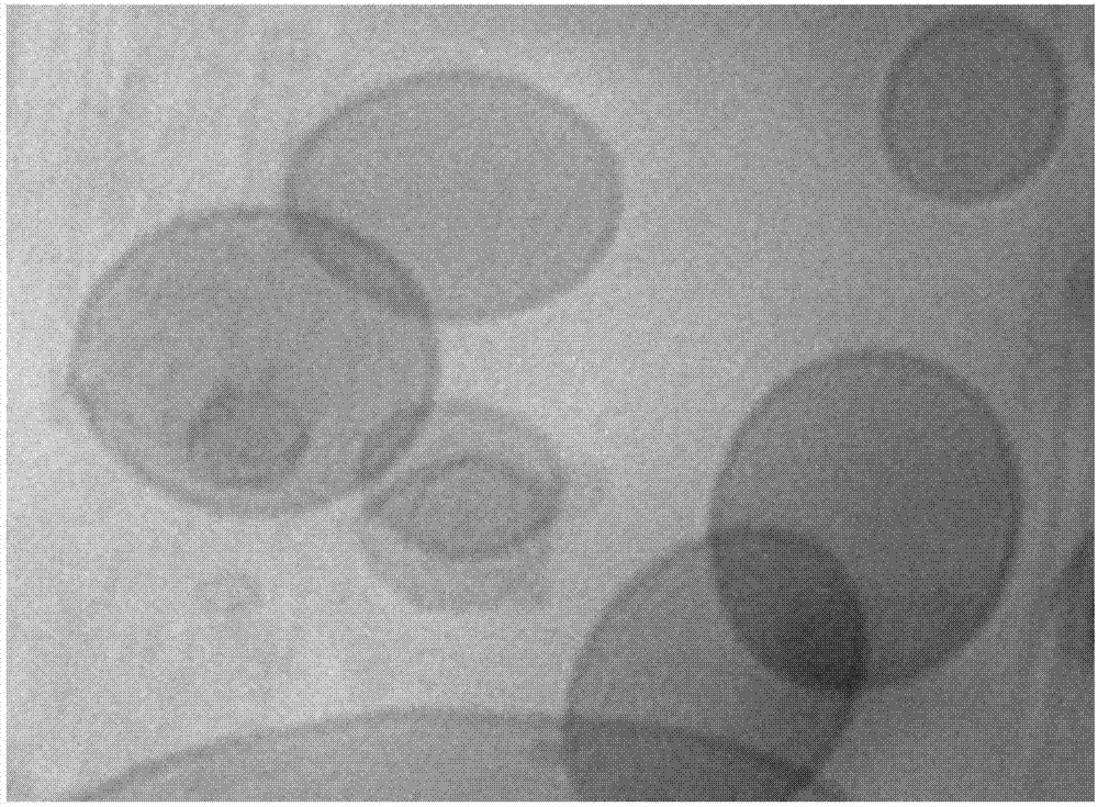 Lipidosome nano medicine delivery system as well as preparation method and application thereof