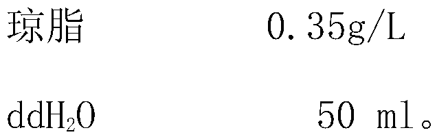 Method for rapidly detecting bacteriophage in escherichia coli fermentation seed solution