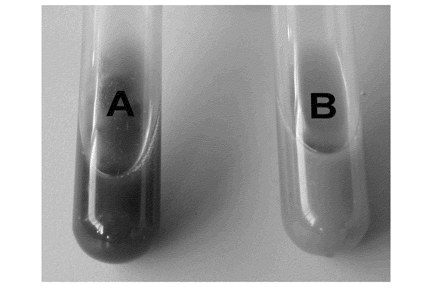 Composition containing resveratrol and/or derivatives thereof and plant oil, process for producing said composition, nutraceutical and/or pharmaceutical product, and method for enhancing the potential of resveratrol