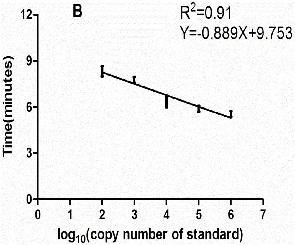 Real-time fluorescence RPA reagent kit and test strip RPA reagent kit for rapidly detecting porcine parvovirus and application of reagent kits