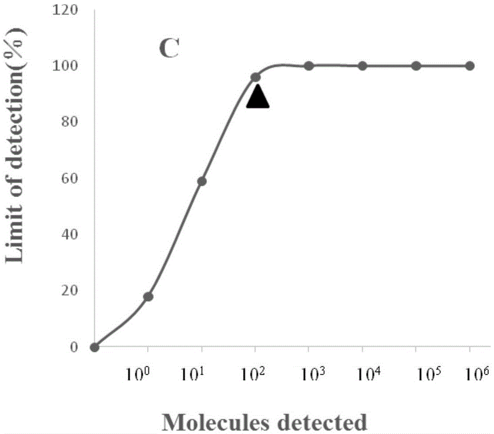 Real-time fluorescence RPA reagent kit and test strip RPA reagent kit for rapidly detecting porcine parvovirus and application of reagent kits