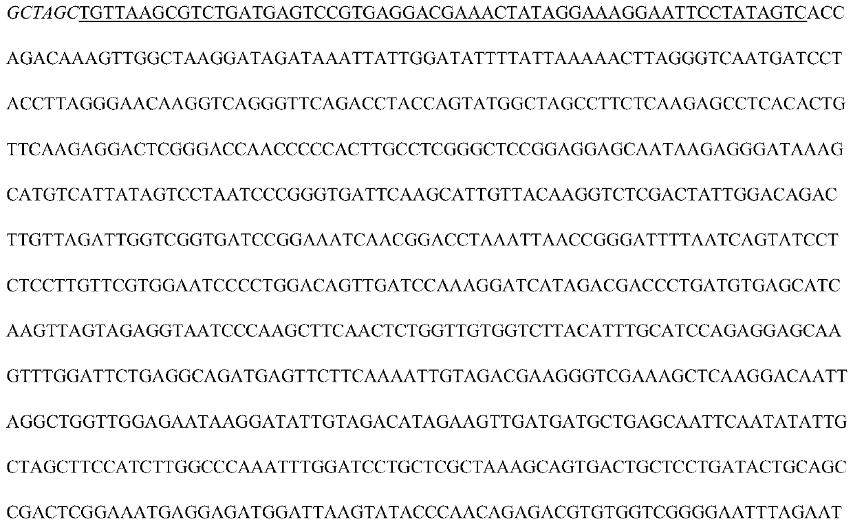 Canine distemper virus replication defect strain and establishing method thereof