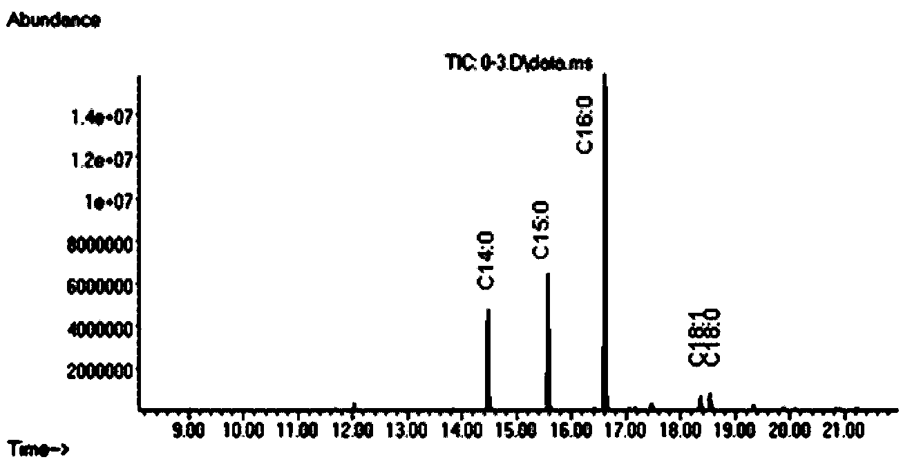 Method for optimizing synthetic route of fatty acid in escherichia coli