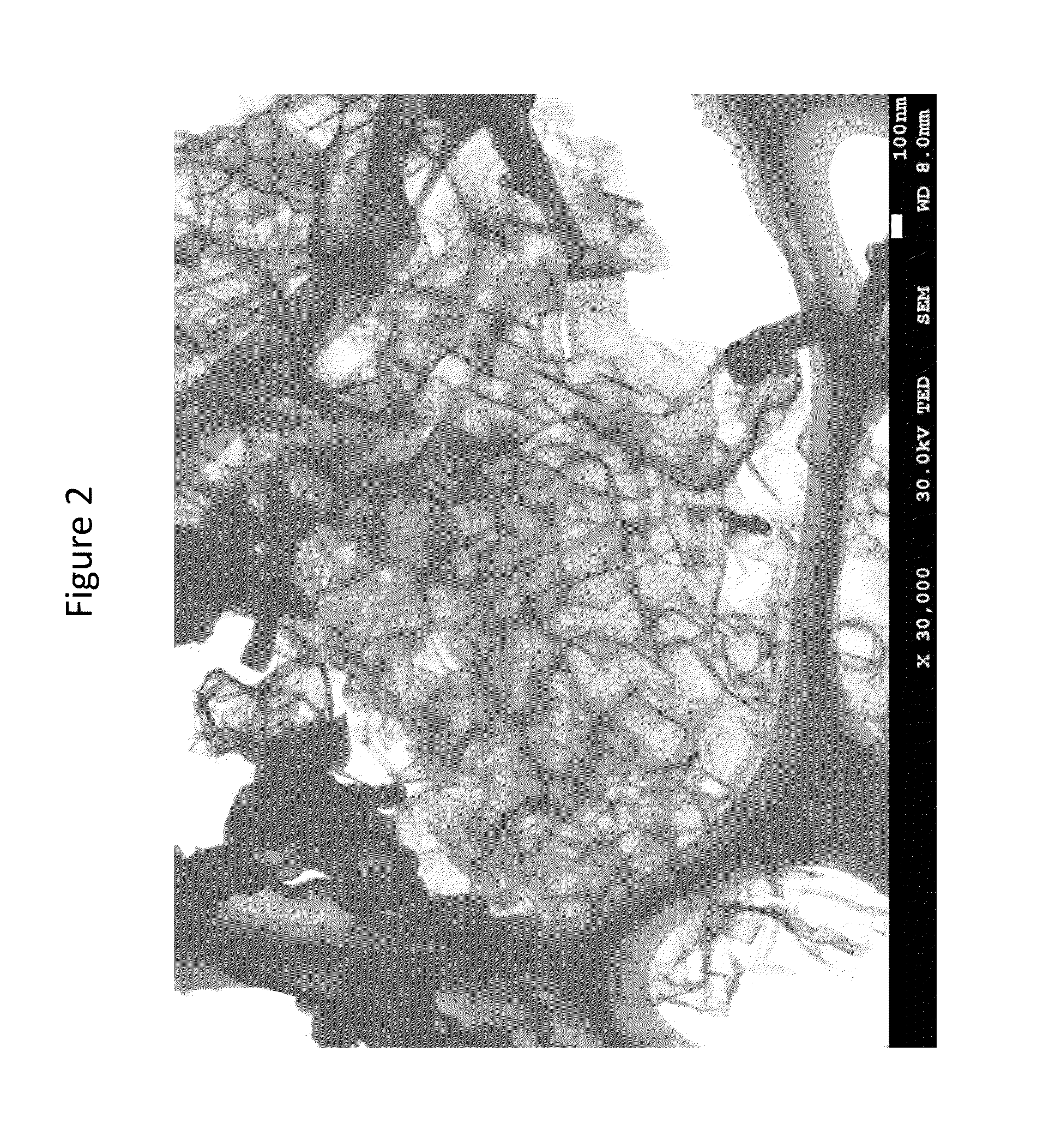 Porous carbon and method of manufacturing same