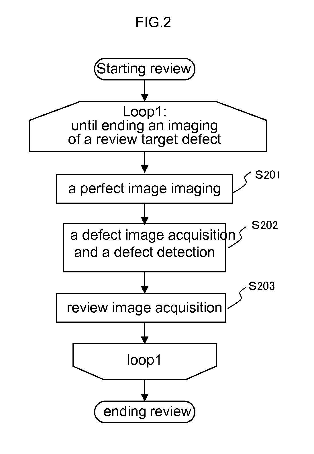 Method and Apparatus for Reviewing Defect