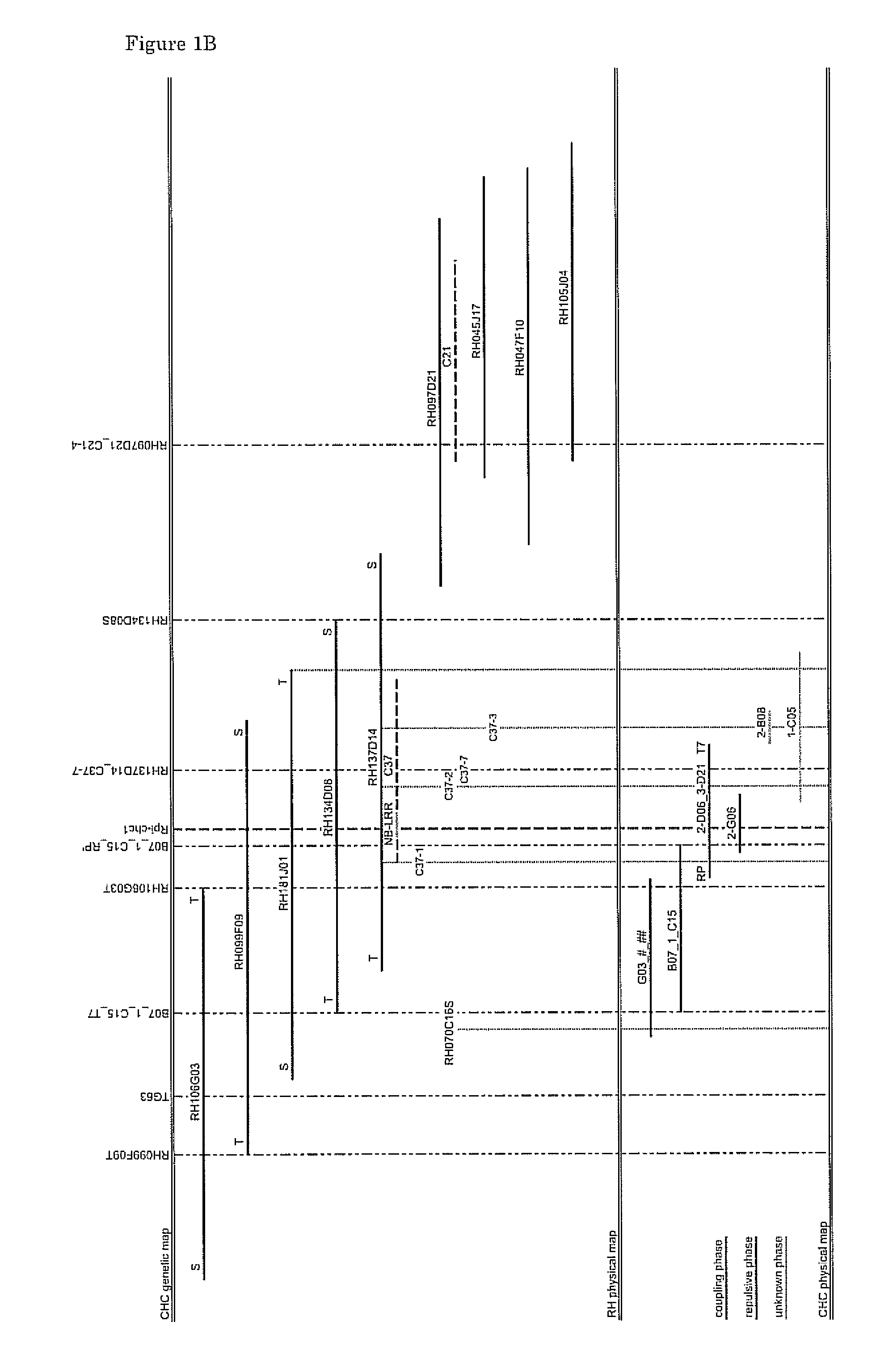 Cloning and exploitation of a functional r-gene from solanum chacoense