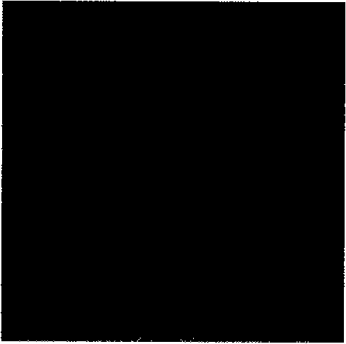 Method for partitioning two-dimensional sequence medical image based on prior knowledge earth-measuring geometry flow