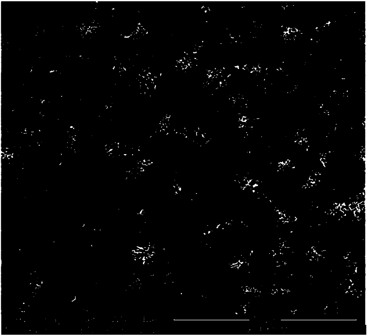 Method for preparing Mg2Si/Al composite material in situ by laser deposition