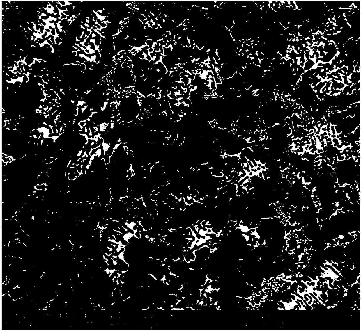 Method for preparing Mg2Si/Al composite material in situ by laser deposition