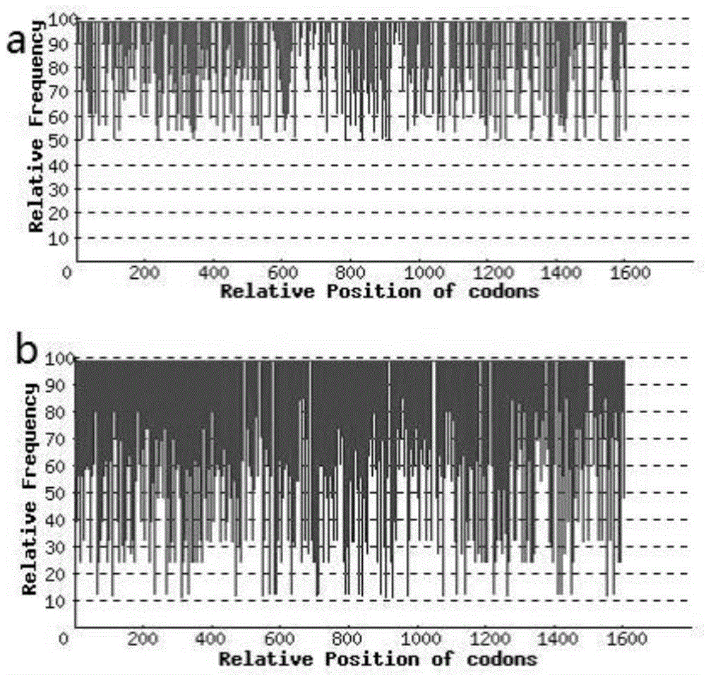 Lipase, engineering bacterium and preparing methods of the lipase and the engineering bacterium