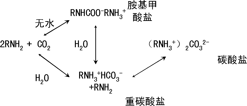 Process and equipment for removing CO2 in flue gas by utilizing amine solid adsorbent