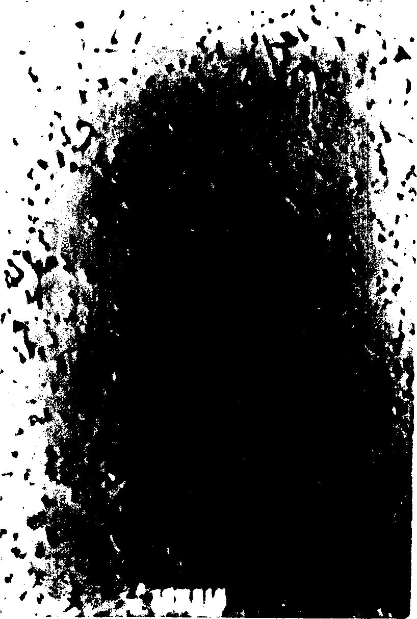 Production method for hard carbide with graded distributed cobalt content