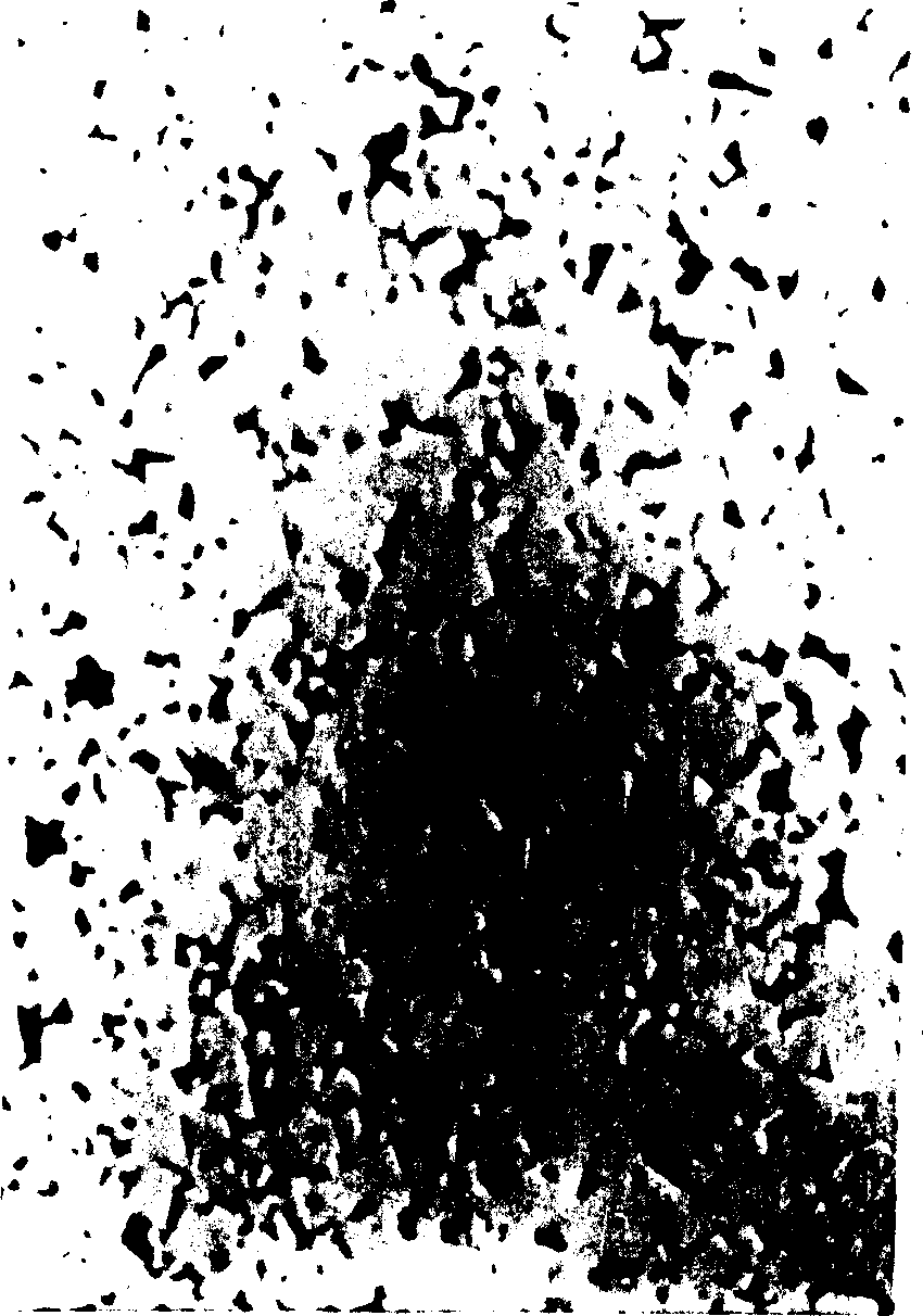 Production method for hard carbide with graded distributed cobalt content