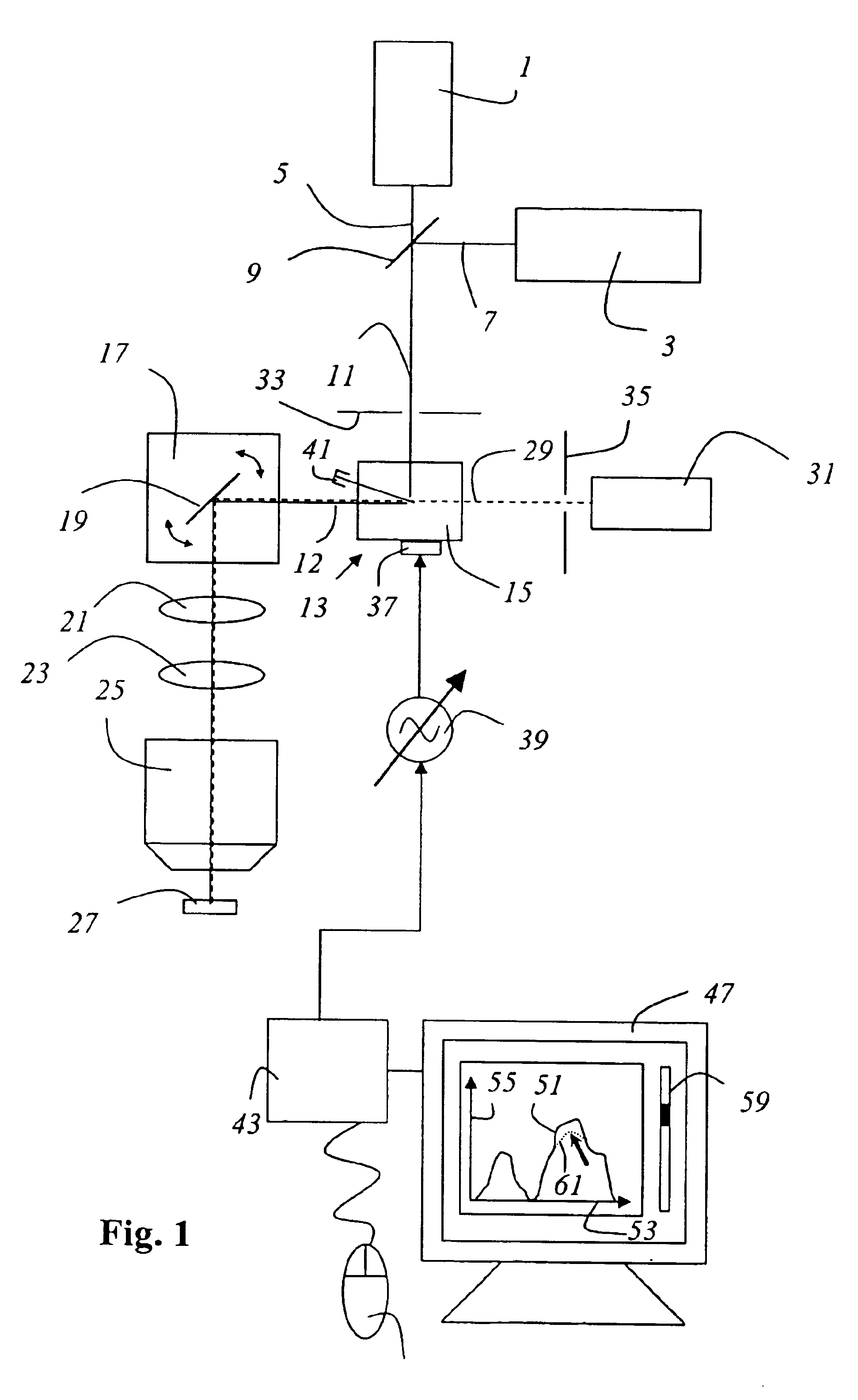 Method for scanning microscopy; and scanning microscope