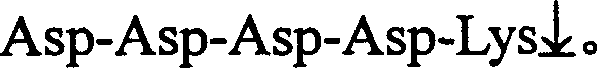 Enterpeptidase light chain variant with high activity and high stability