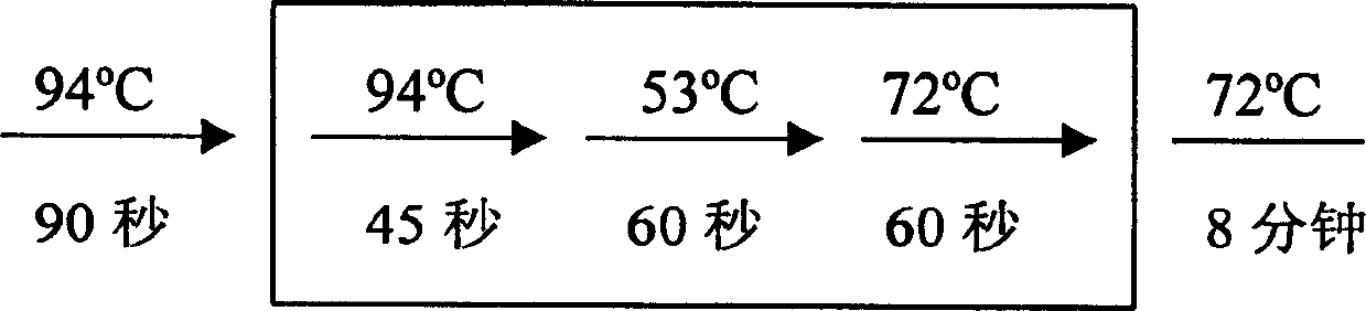 Enterpeptidase light chain variant with high activity and high stability