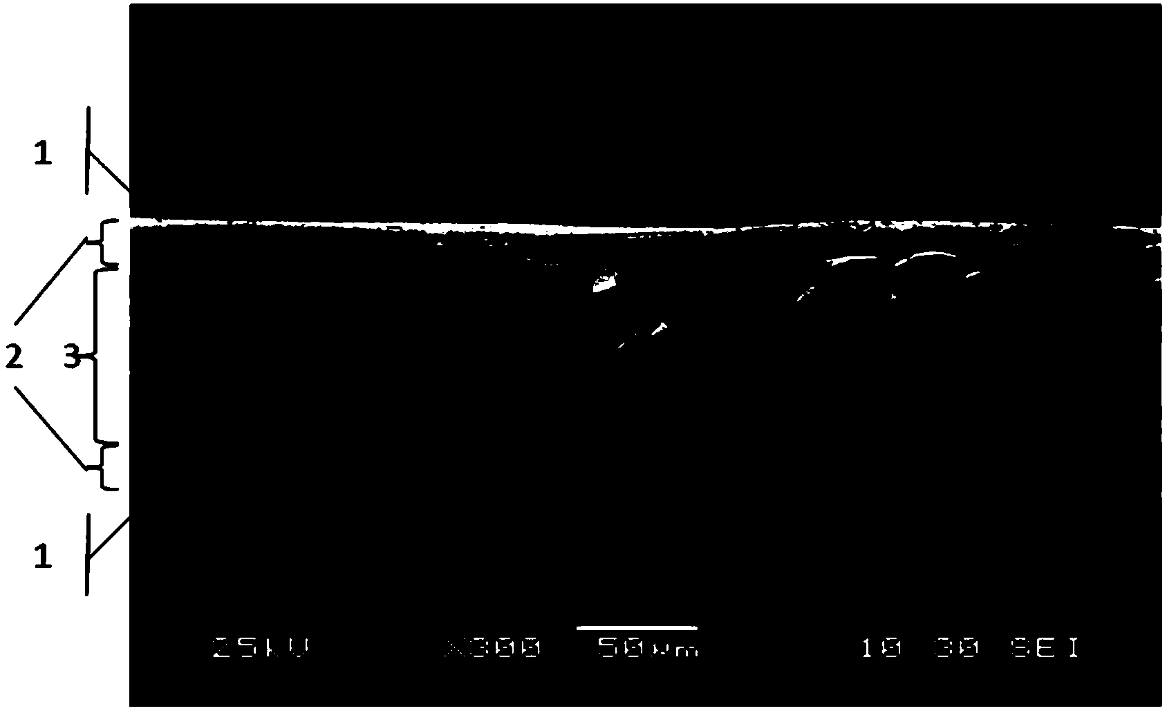 High-temperature resistance double-layer forward osmosis composite film and preparation method thereof