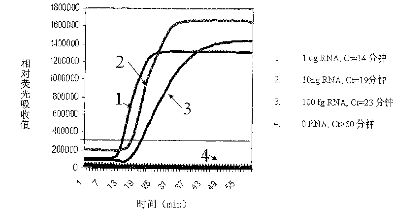 Constant temperature synchronous amplification detecting process for nucleic acid and use thereof