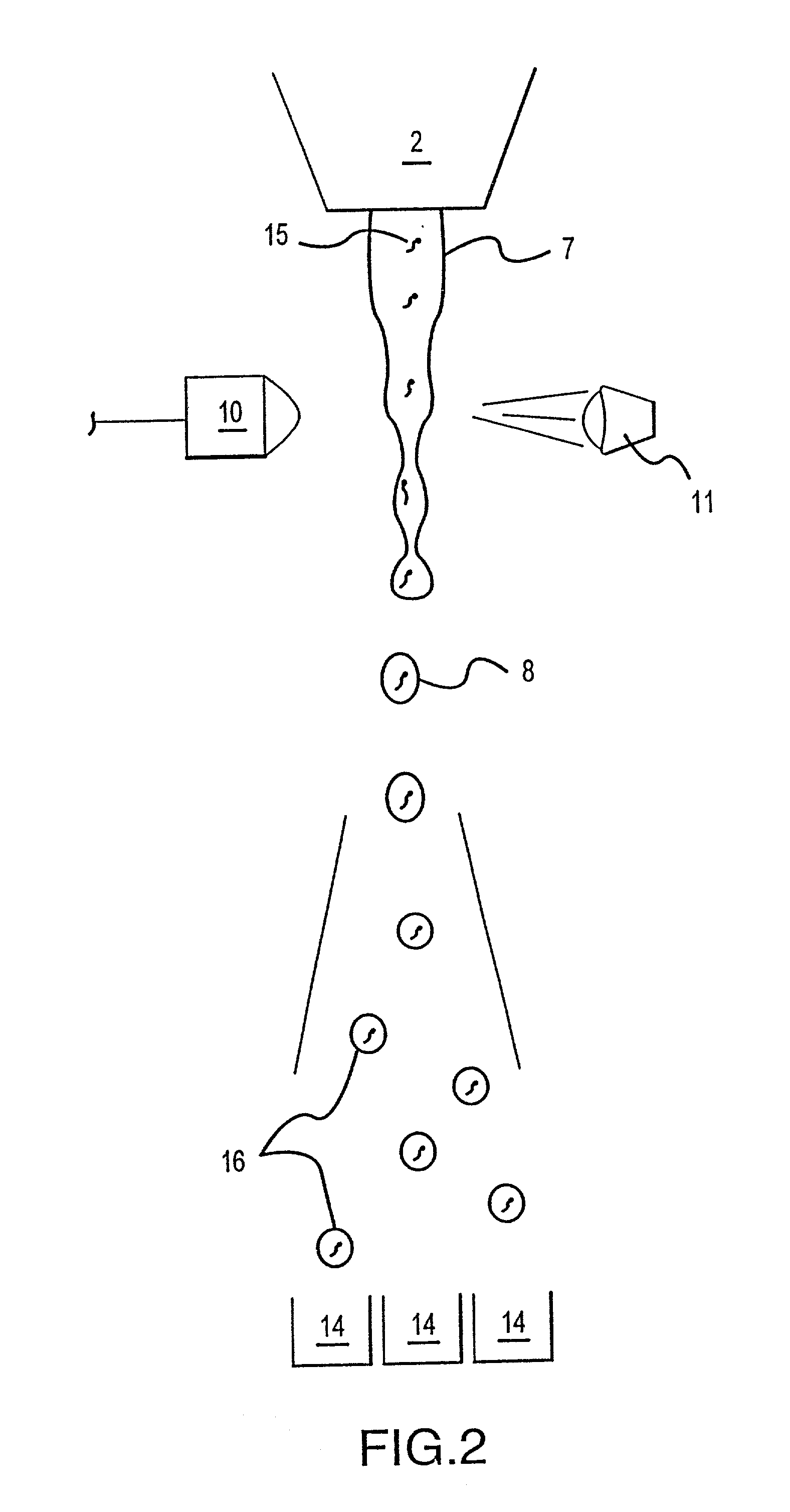 Multiple sexed embryo production system for mammals using low numbers of spermatozoa