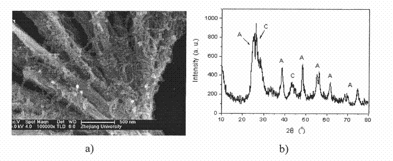 Pt-TiO2/CNTs catalyst and preparation method thereof