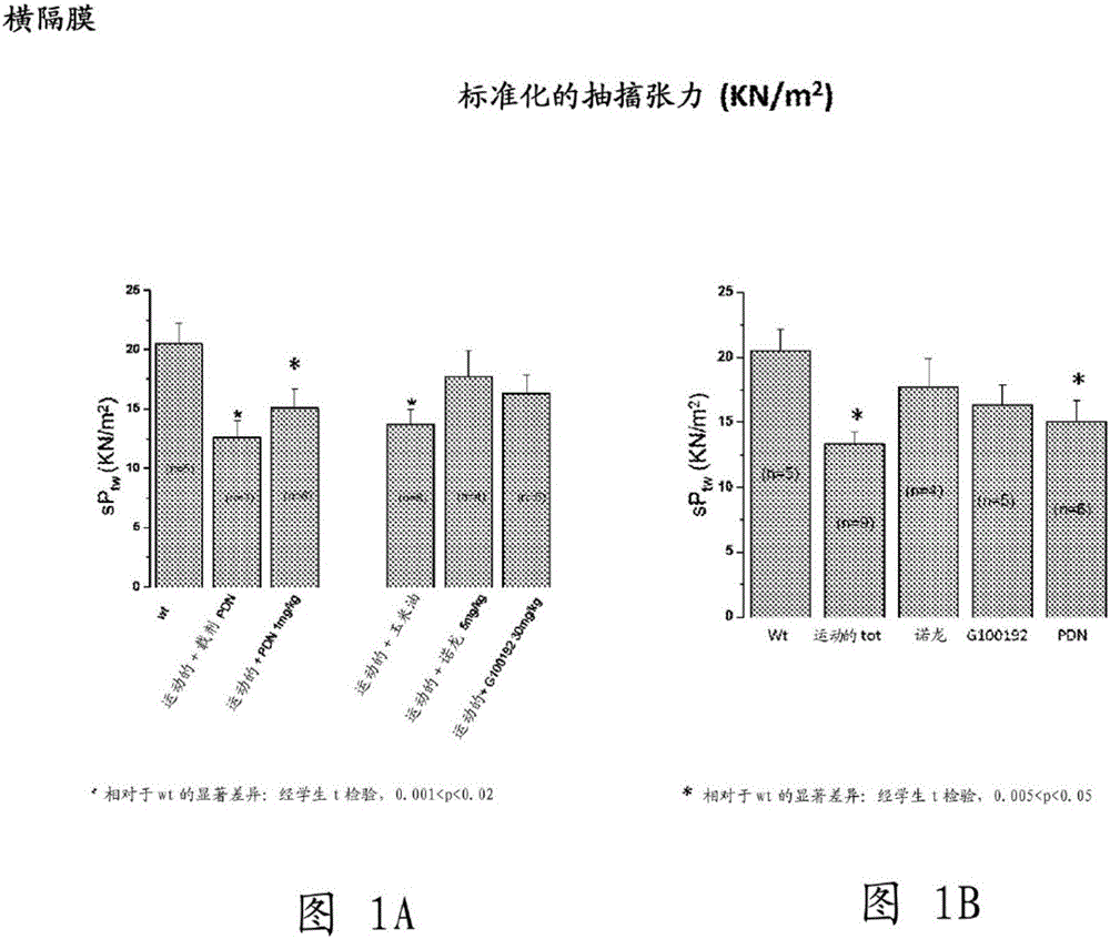 Methods for treatment of muscular dystrophies