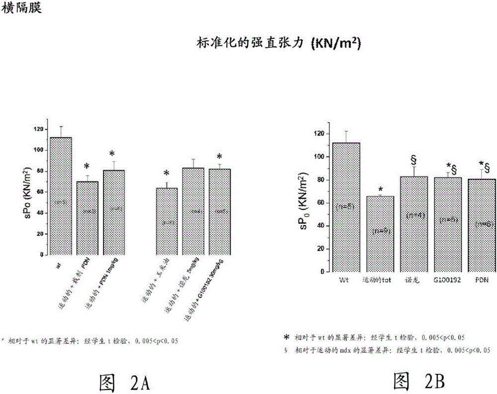 Methods for treatment of muscular dystrophies