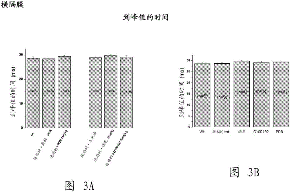 Methods for treatment of muscular dystrophies