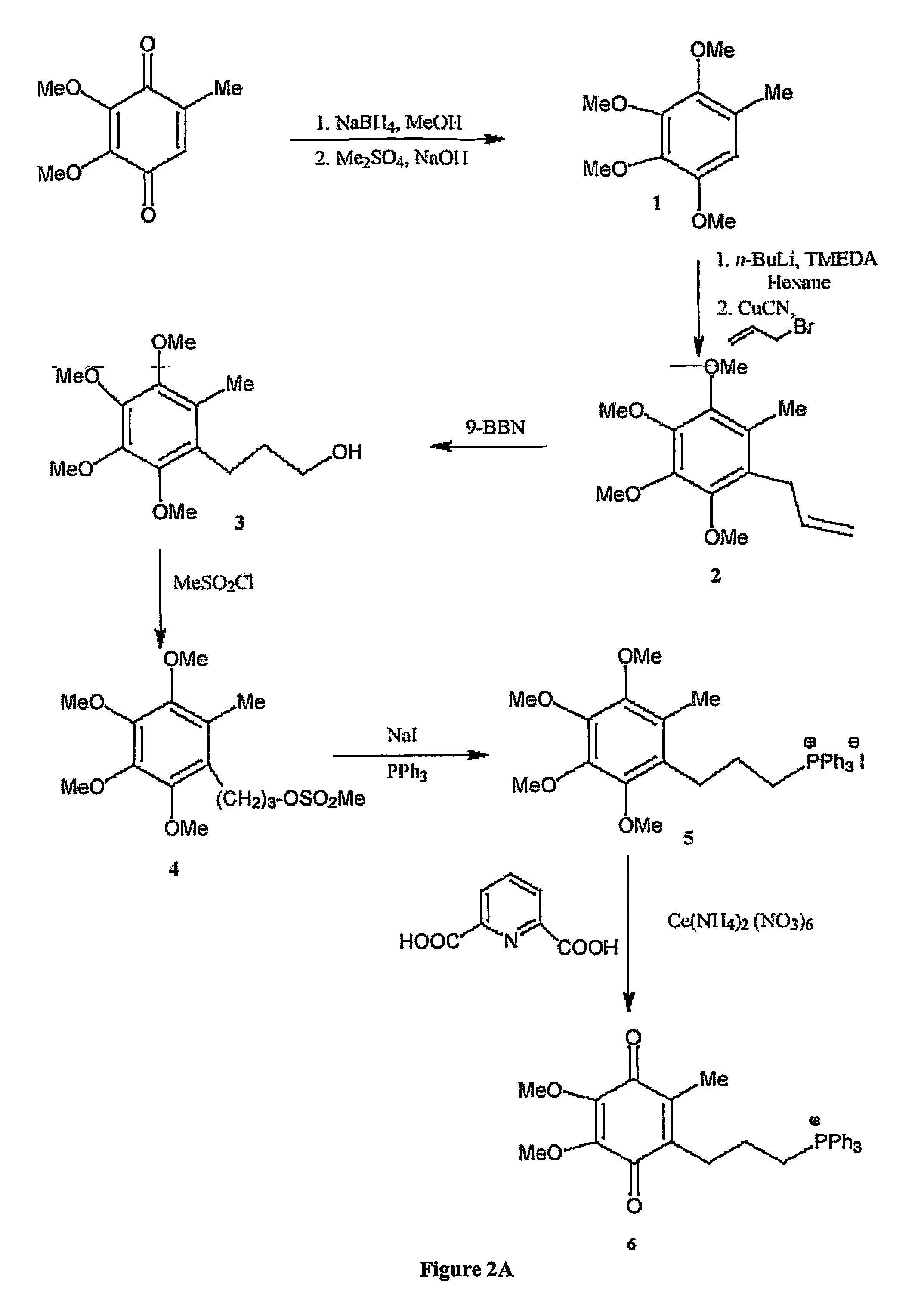 Mitoquinone derivatives used as mitochondrially targeted antioxidants