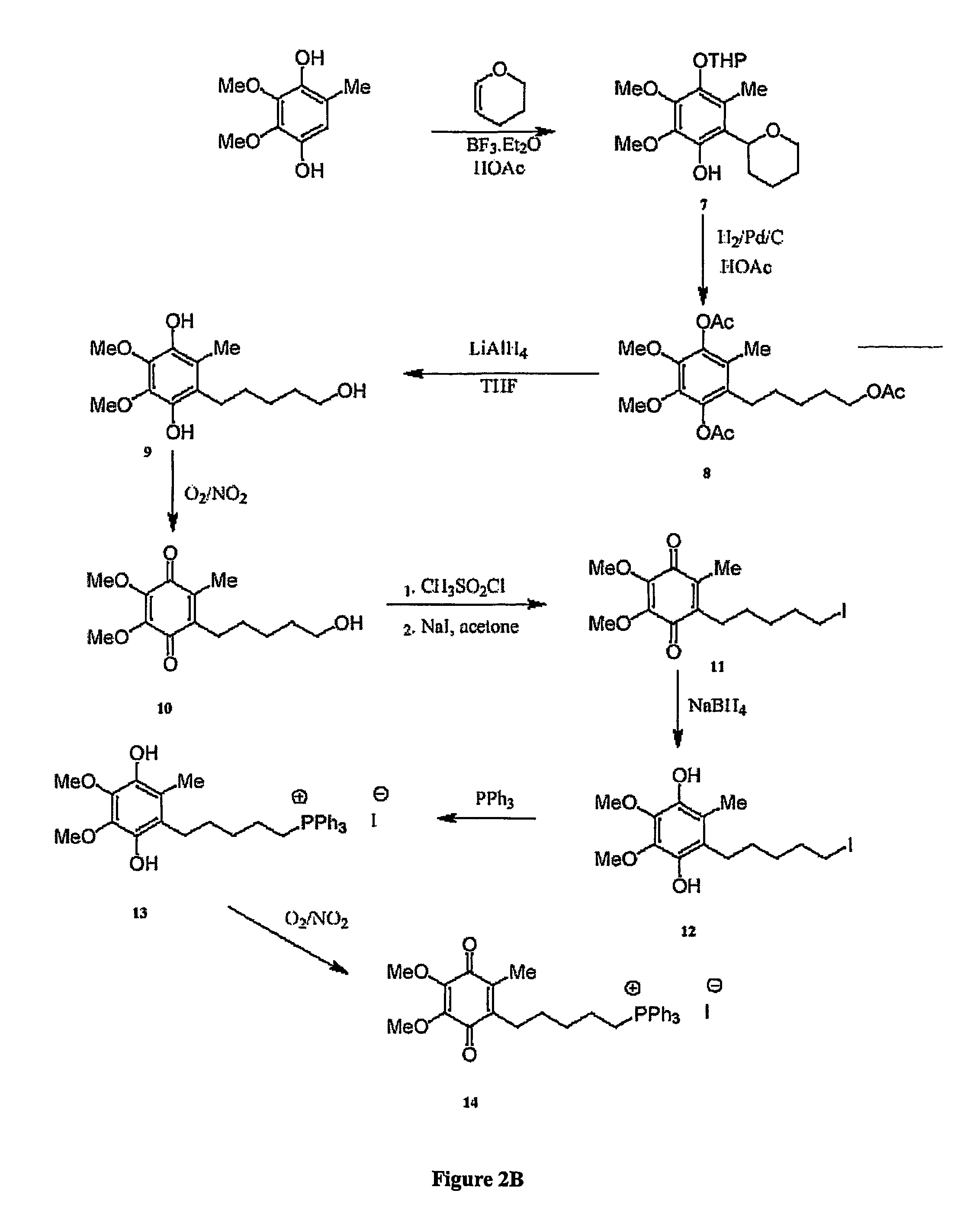 Mitoquinone derivatives used as mitochondrially targeted antioxidants