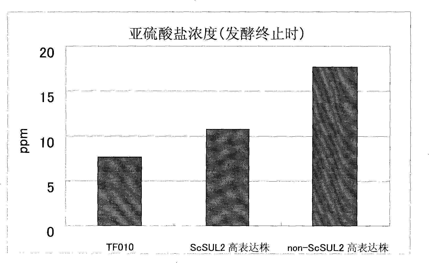 Sulfate ion transporter gene and use thereof