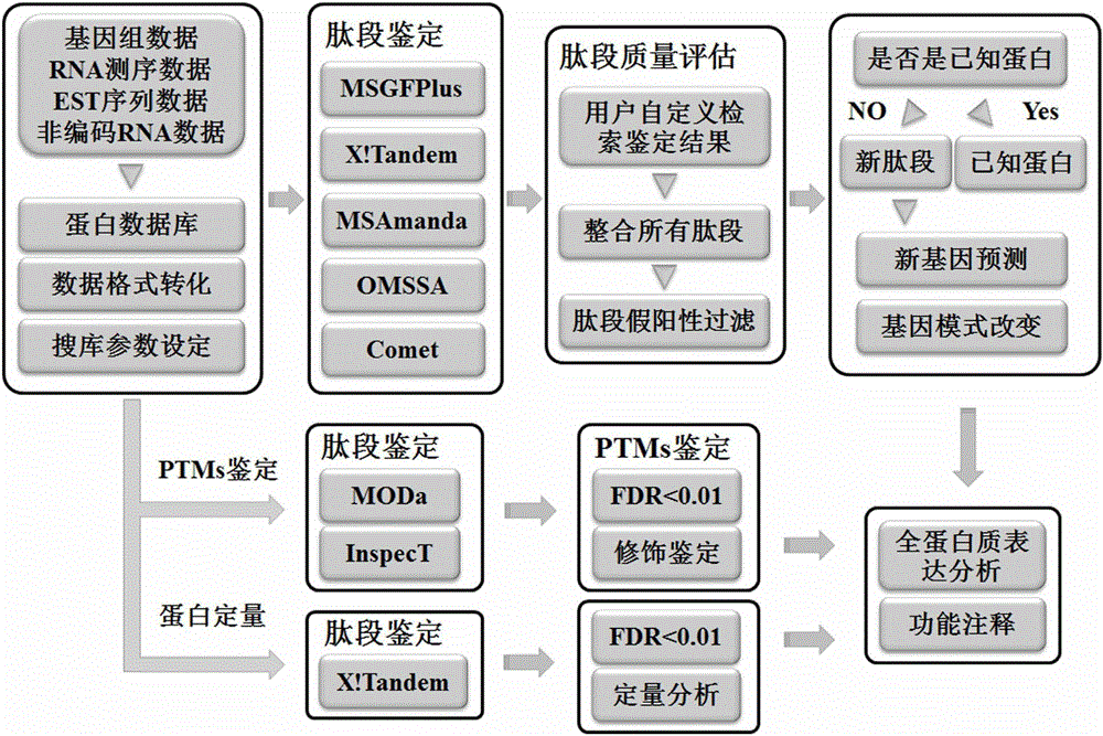 Method for analyzing data of prokaryotic proteogenomics rapidly and automatically