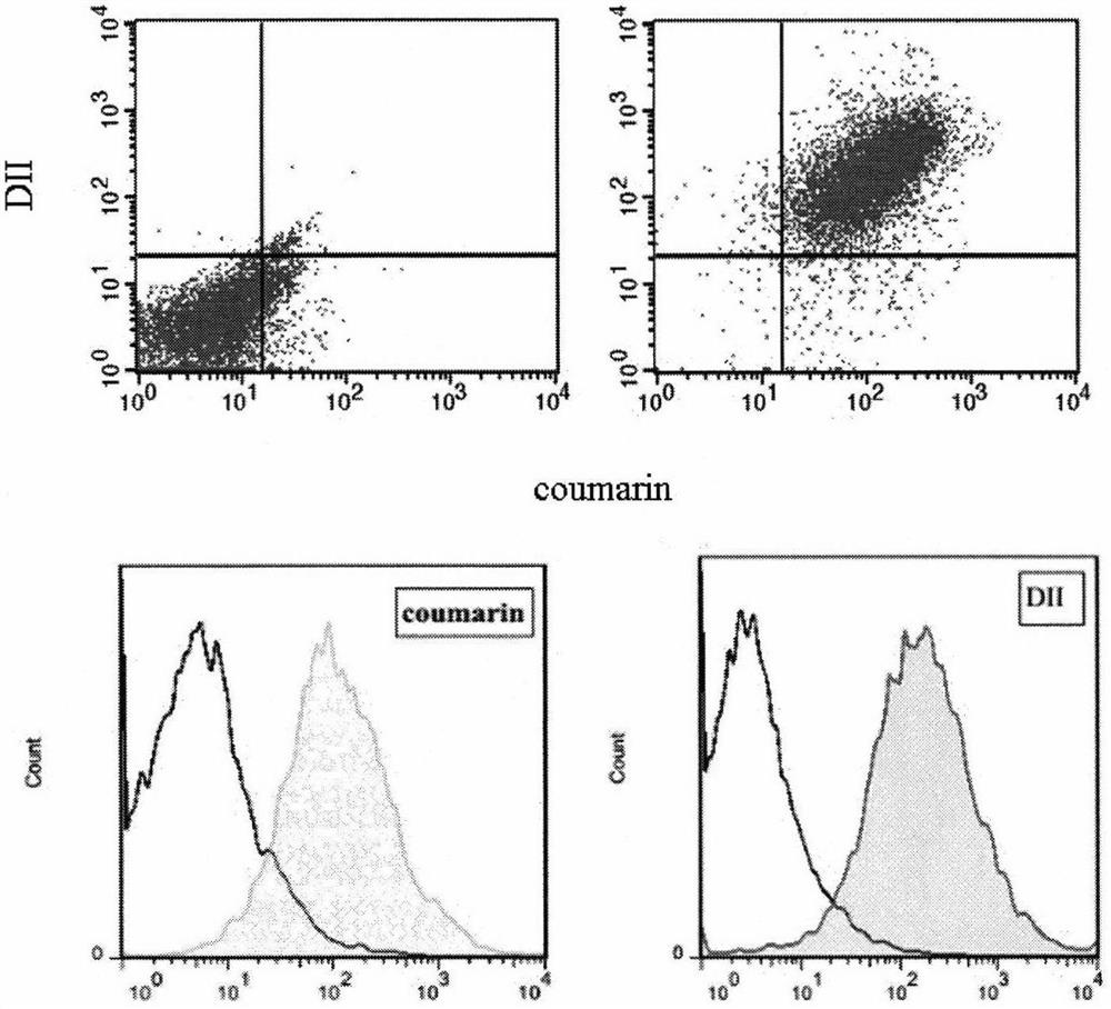 Preparation and application of a cell membrane biomimetic lipoprotein targeting nano drug delivery system