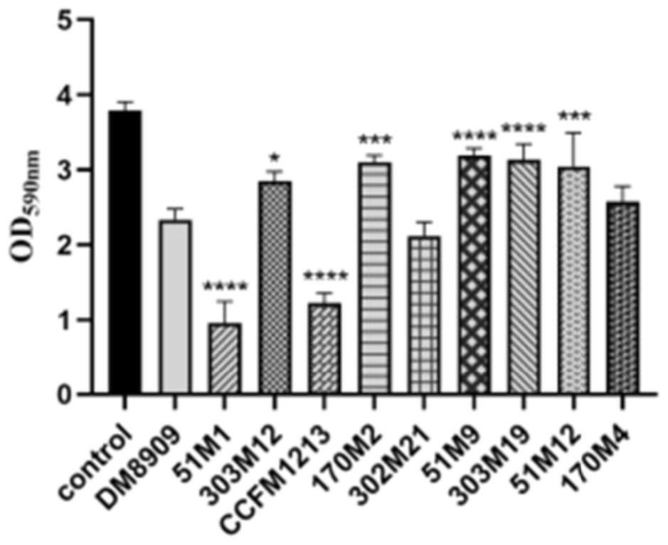 Lactobacillus jensenii for relieving inflammation caused by gardnerella vaginalis and application of lactobacillus jensenii