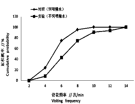 Method for increasing apis cerana smith pollination efficiency for strawberries in winter facility