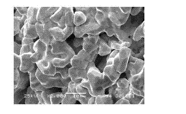 Preparation method for medical metal implant material porous niobium