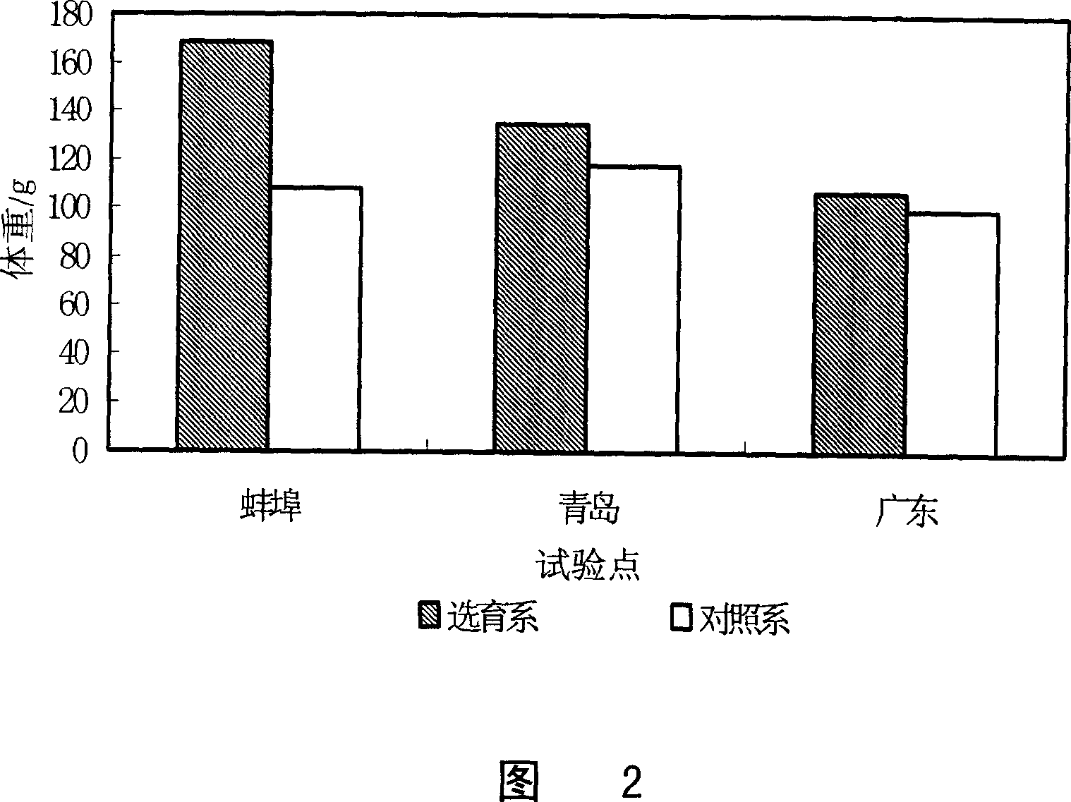 Novel selecting and breeding method for gift strain of nile tilapia