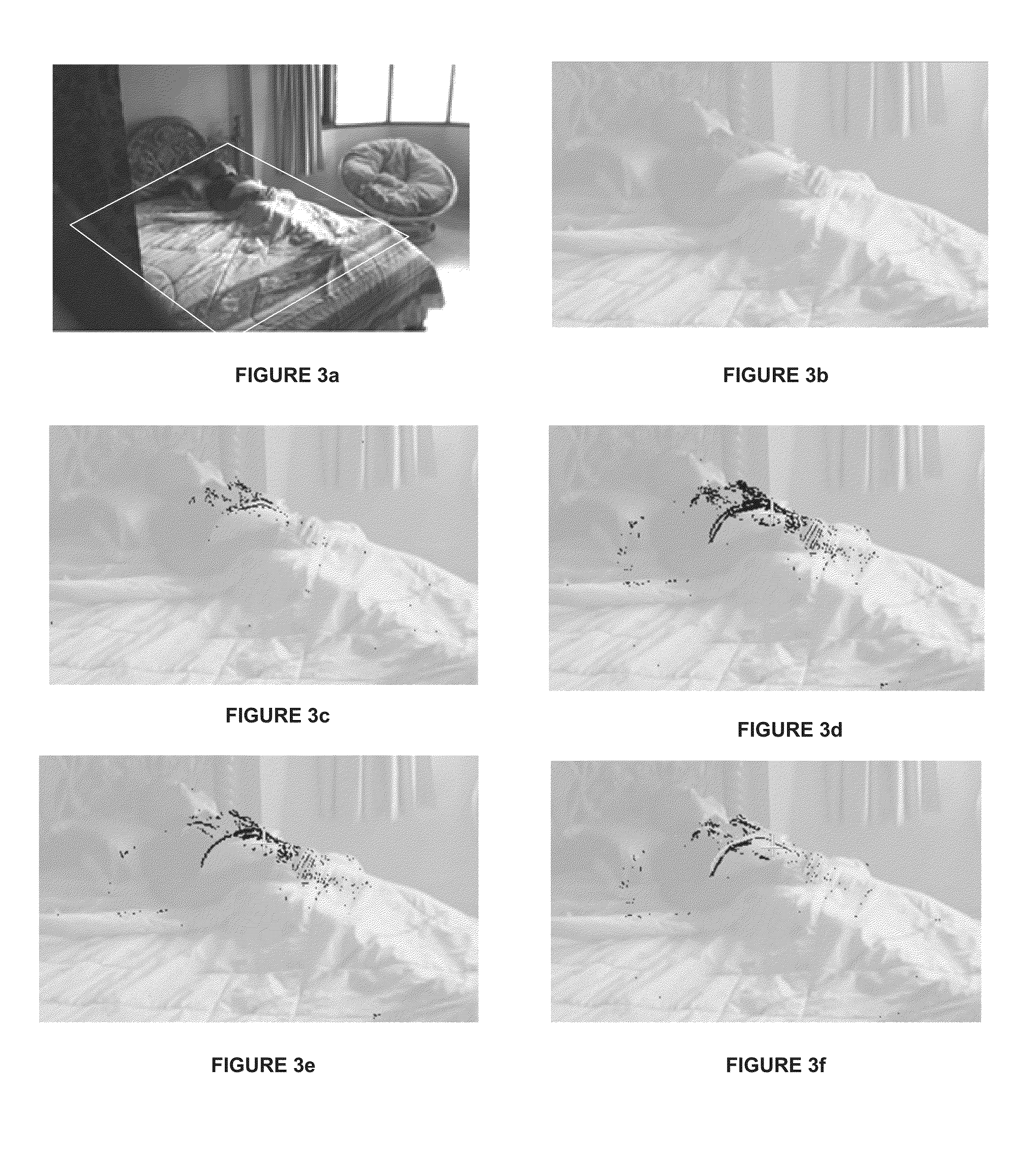 Vision based system for detecting distress behavior