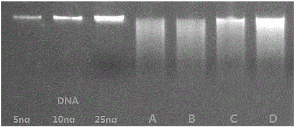 Extracting method for metagenome DNA (Deoxyribonucleic Acid)