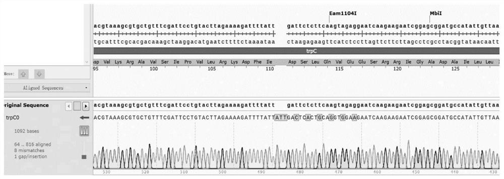 Bacillus subtilis with inactivated extracellular protease as well as construction method and application of bacillus subtilis