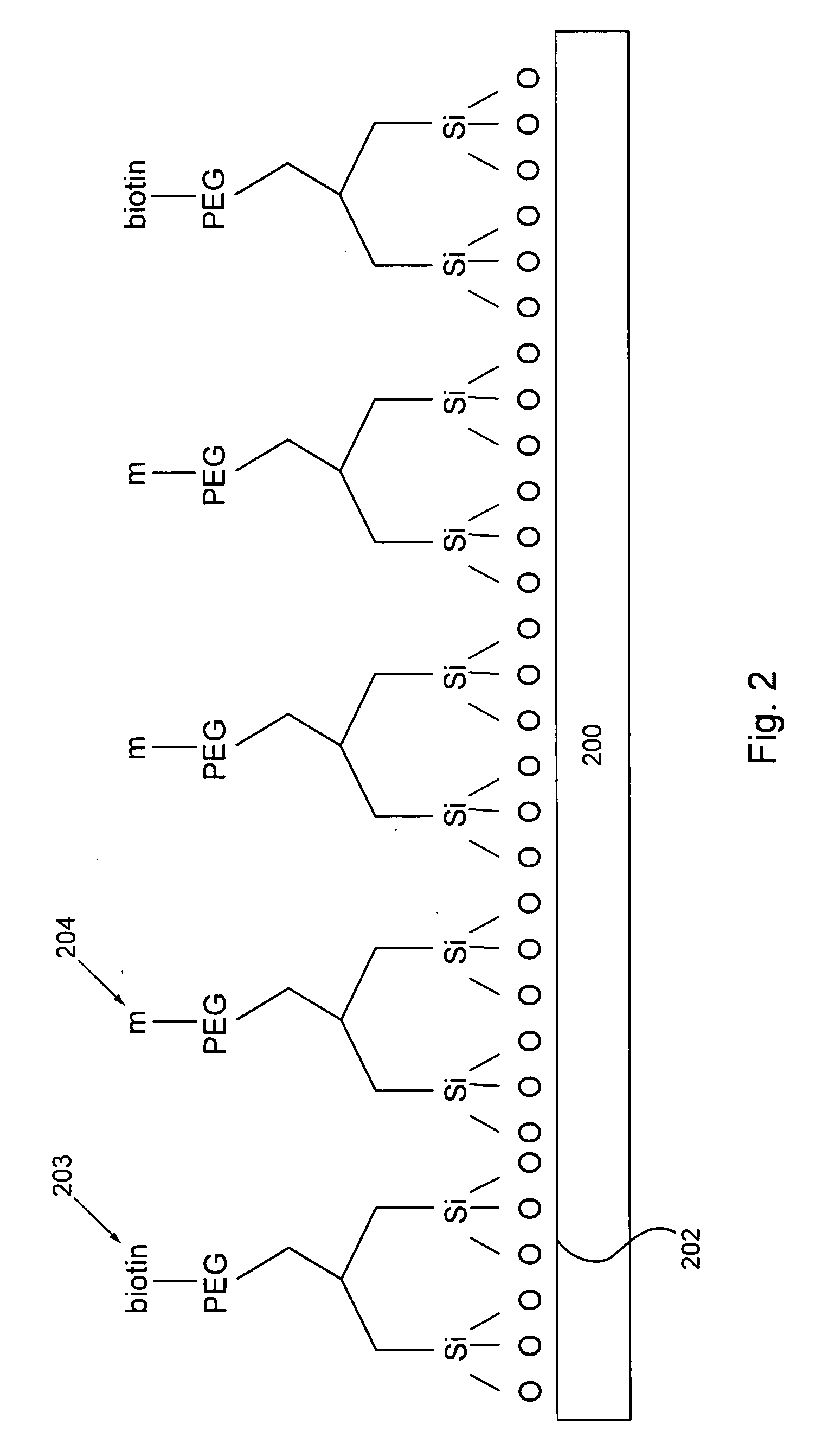 Modified surfaces for immobilization of active molecules