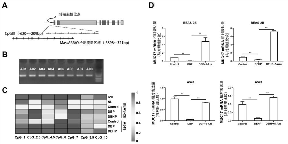 Kit applied to cancerogenic risk assessment of environmental pollution