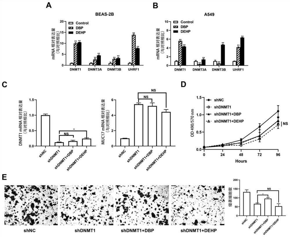 Kit applied to cancerogenic risk assessment of environmental pollution