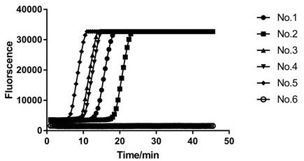 Kit for detecting novel coronavirus by adopting loop-mediated transcription isothermal amplification method