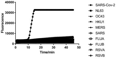 Kit for detecting novel coronavirus by adopting loop-mediated transcription isothermal amplification method