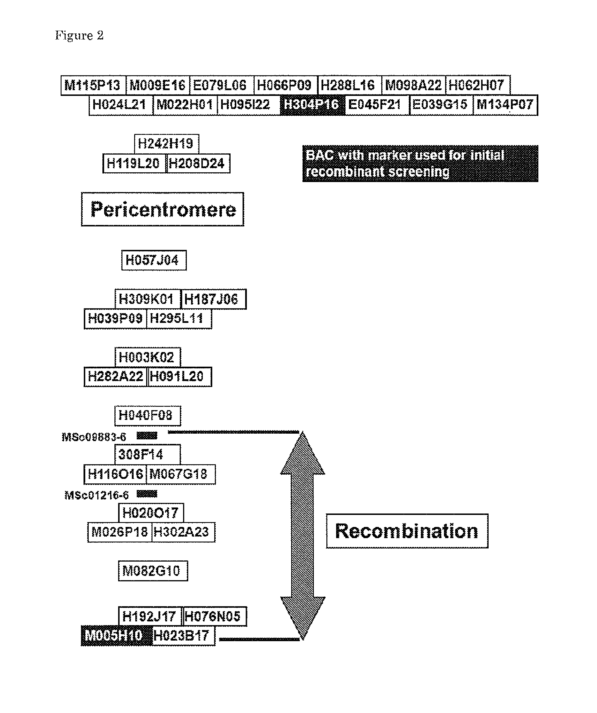 Tyclv resistance