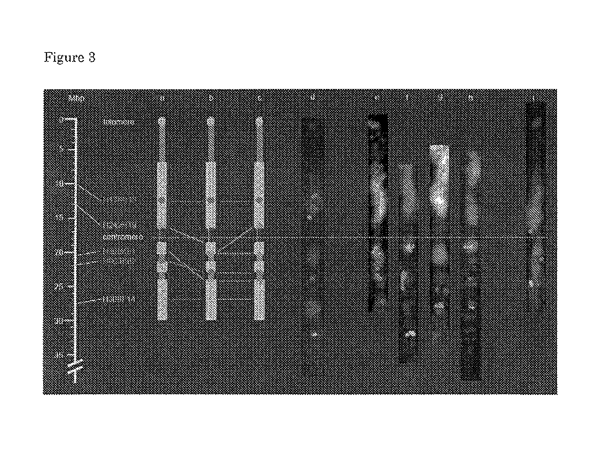 Tyclv resistance