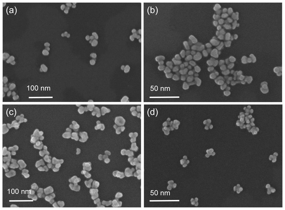 Preparation method of gold nano-flowers