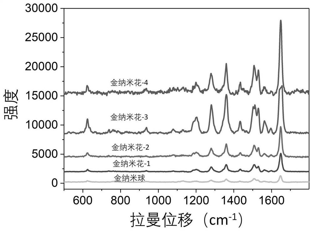 Preparation method of gold nano-flowers