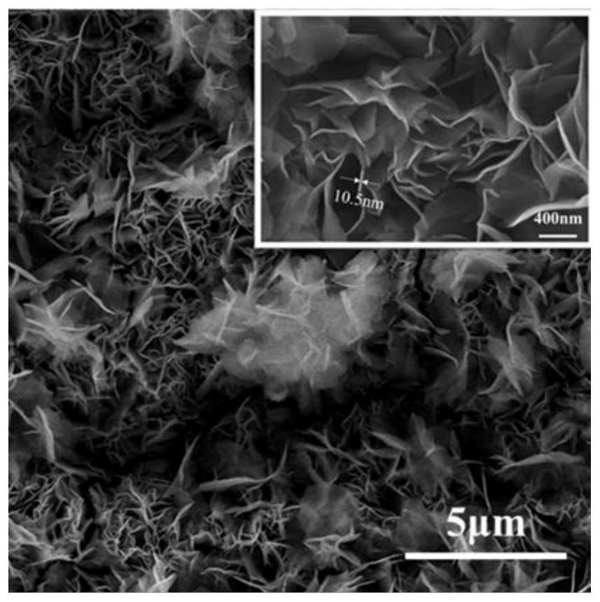 Non-noble metal chlorine evolution catalyst electrode and preparation method thereof