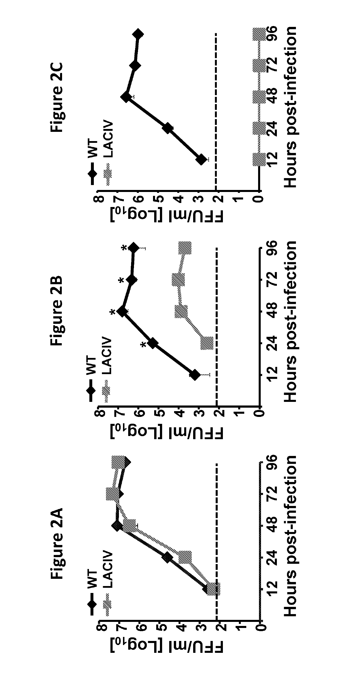 Live-attenuated vaccine having mutations in viral polymerase for the treatment and prevention of canine influenza virus